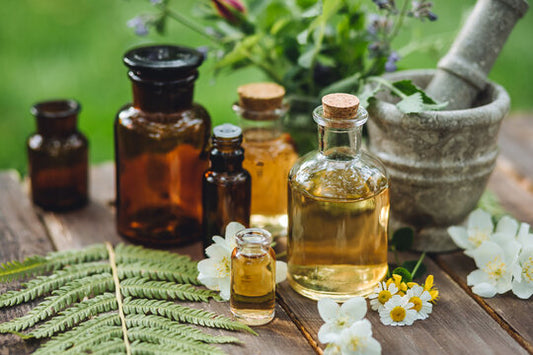 The Luxury Ingredients Behind CXC Beauty: History, Origins, and Skin Benefits