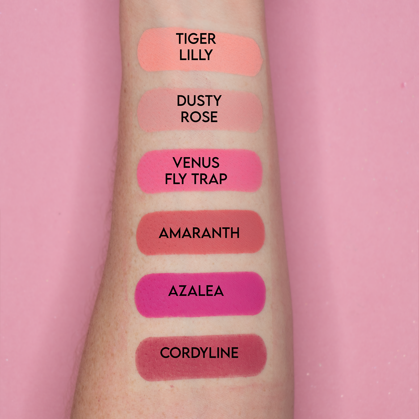 Dusty Rose Blush