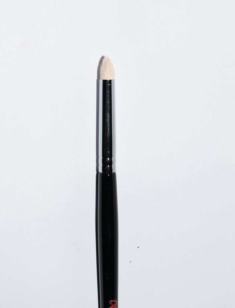 Pro Pencil Brush